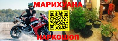 СК Пугачёв