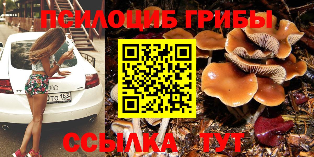 Псилоцибиновые грибы Psilocybine cubensis  Вход с VPN  Серпухов 