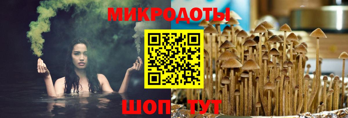 Галлюциногенные грибы мухоморы Серпухов